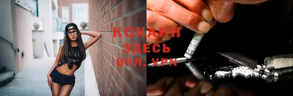 прущие грибы Армянск