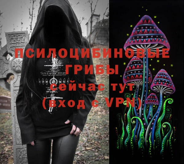 прущие грибы Армянск