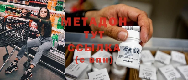 прущие грибы Армянск